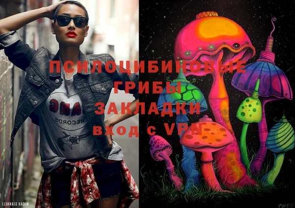 марихуана Новозыбков